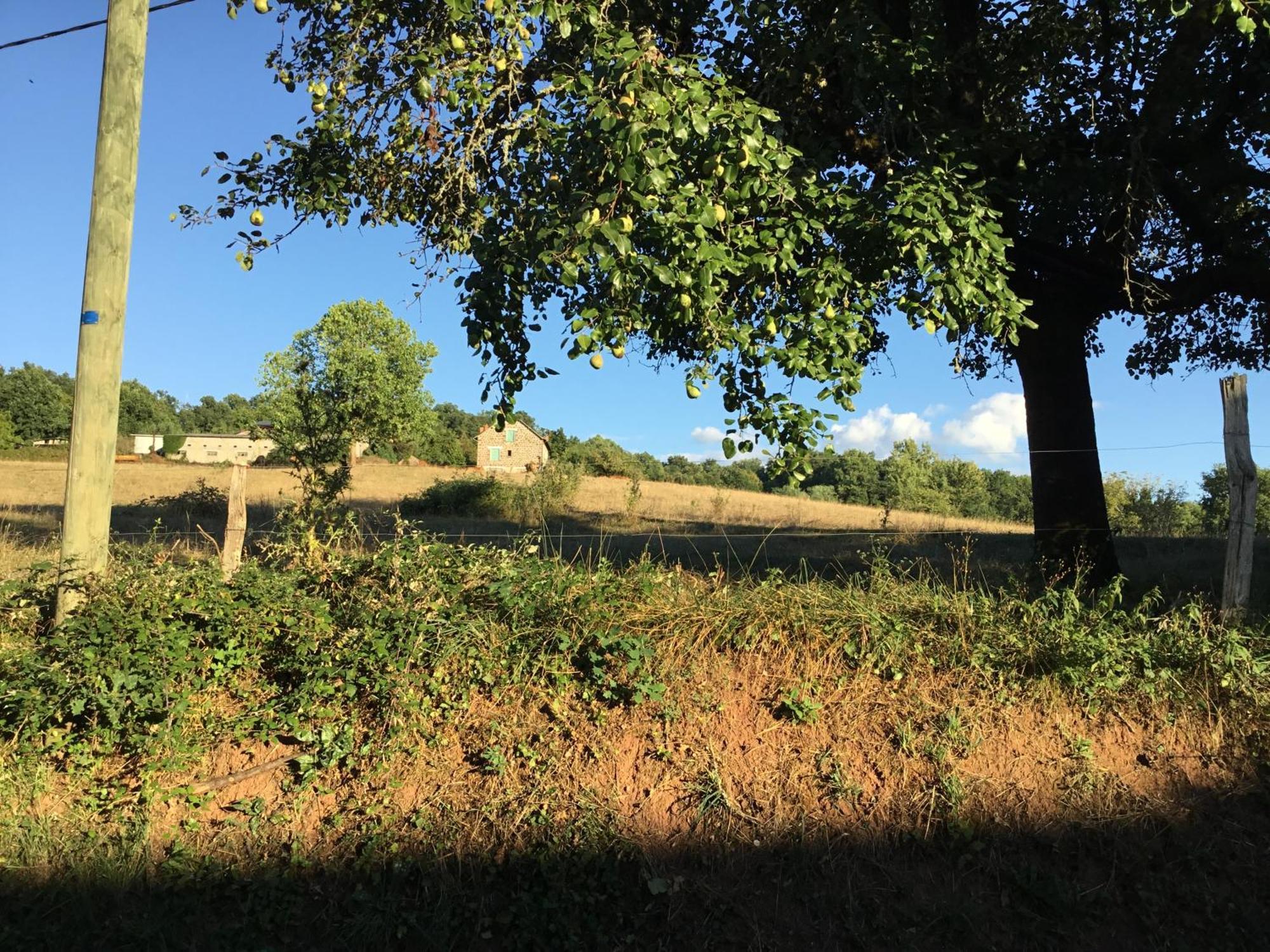 Le Clos De Rose Ussac Esterno foto